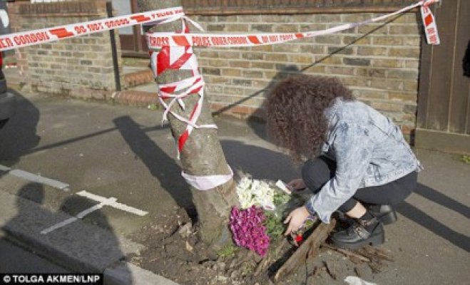 Doi tineri au fost ucişi în Londra